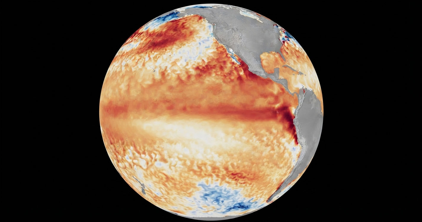 Colorized 3D globe showing global sea surface temperature anomalies: warm orange–red bands across the oceans with grey landmasses against a black space background.